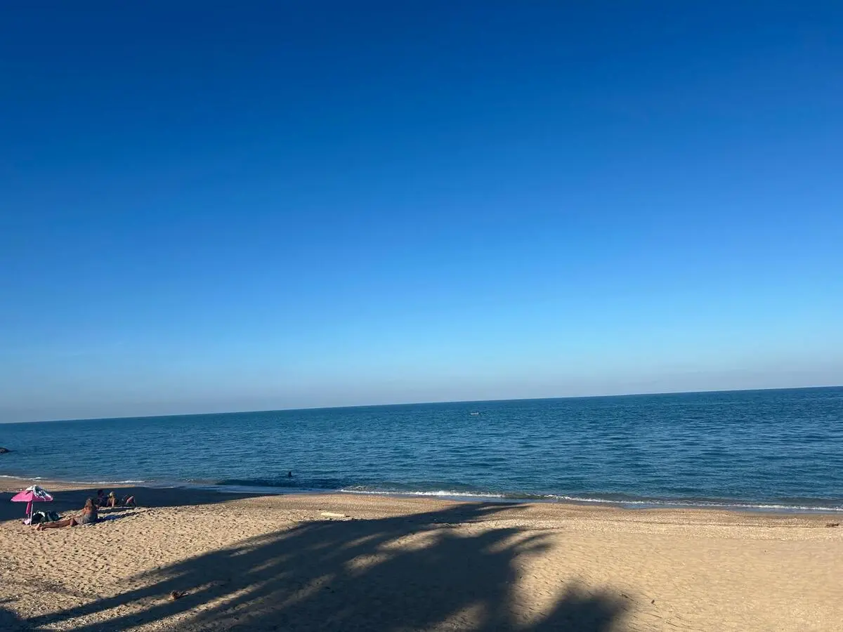 Mare