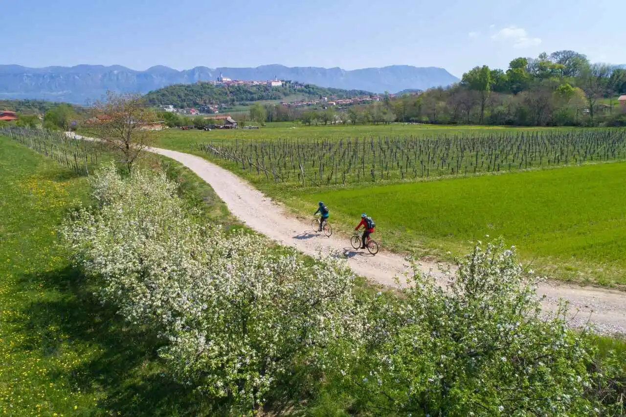 Ciclismo nella Valle del Vipava (foto di Jost Gantar)