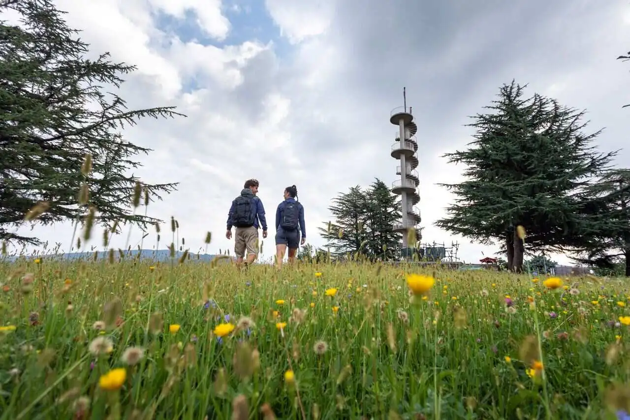 Torre di Gonjace (foto di Jost Gantar)