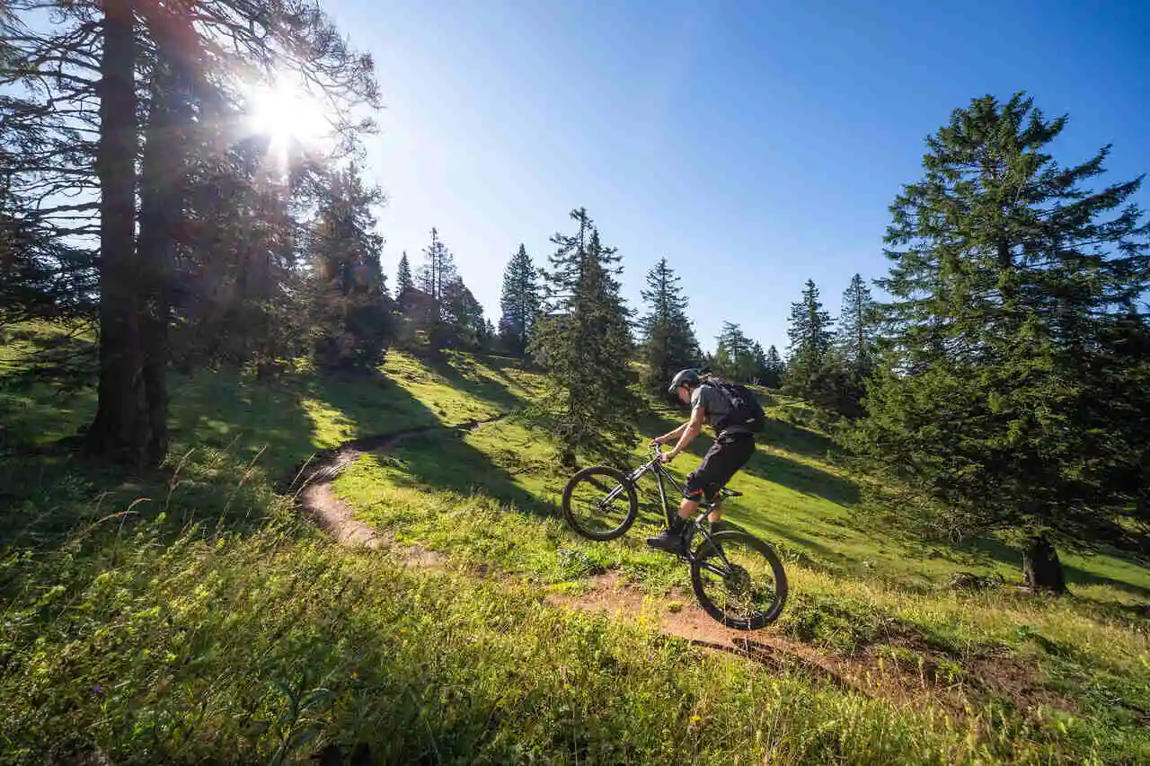 Krvavec estate bike park Slovenia montagne