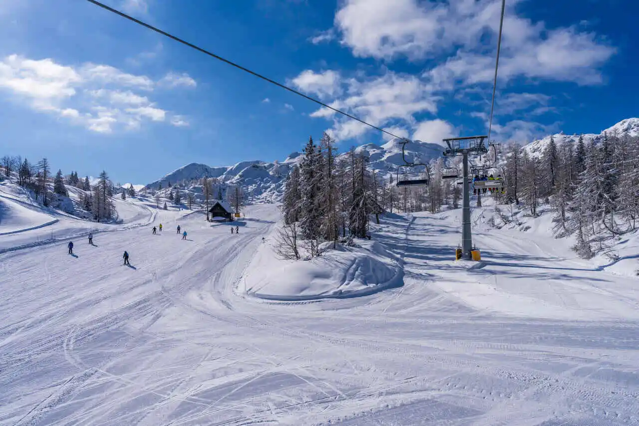 Vogel inverno sci montagne Slovenia