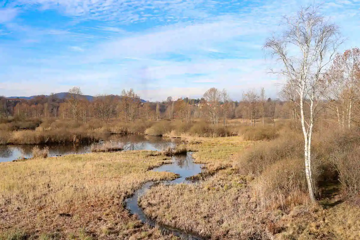 Laghi Varesini