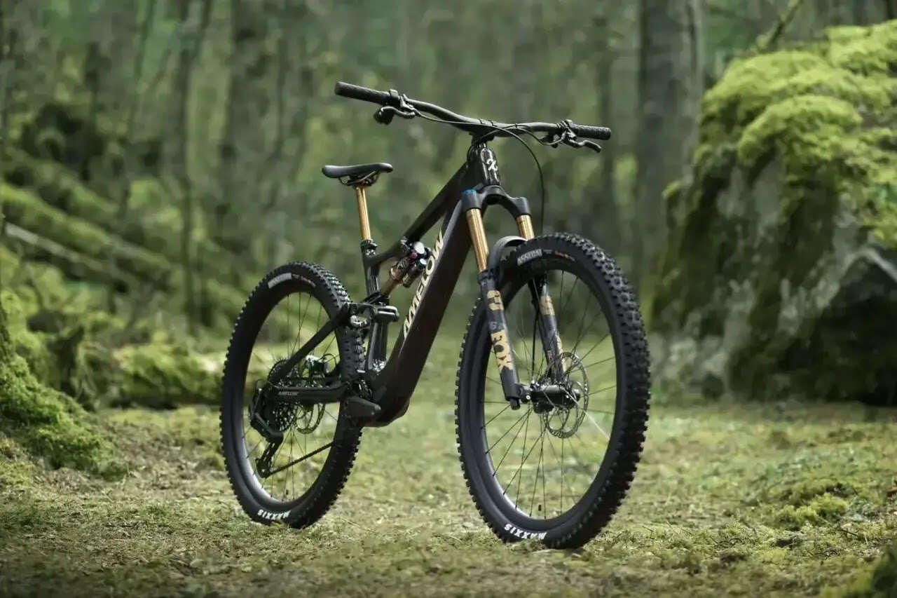 Ebike Amflow DJI