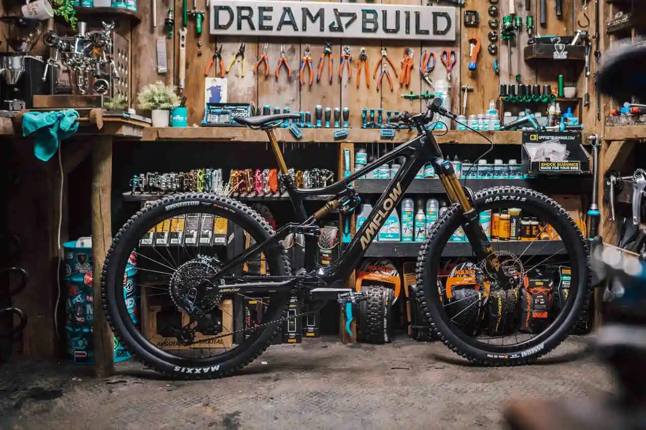 Amflow ebike DJI