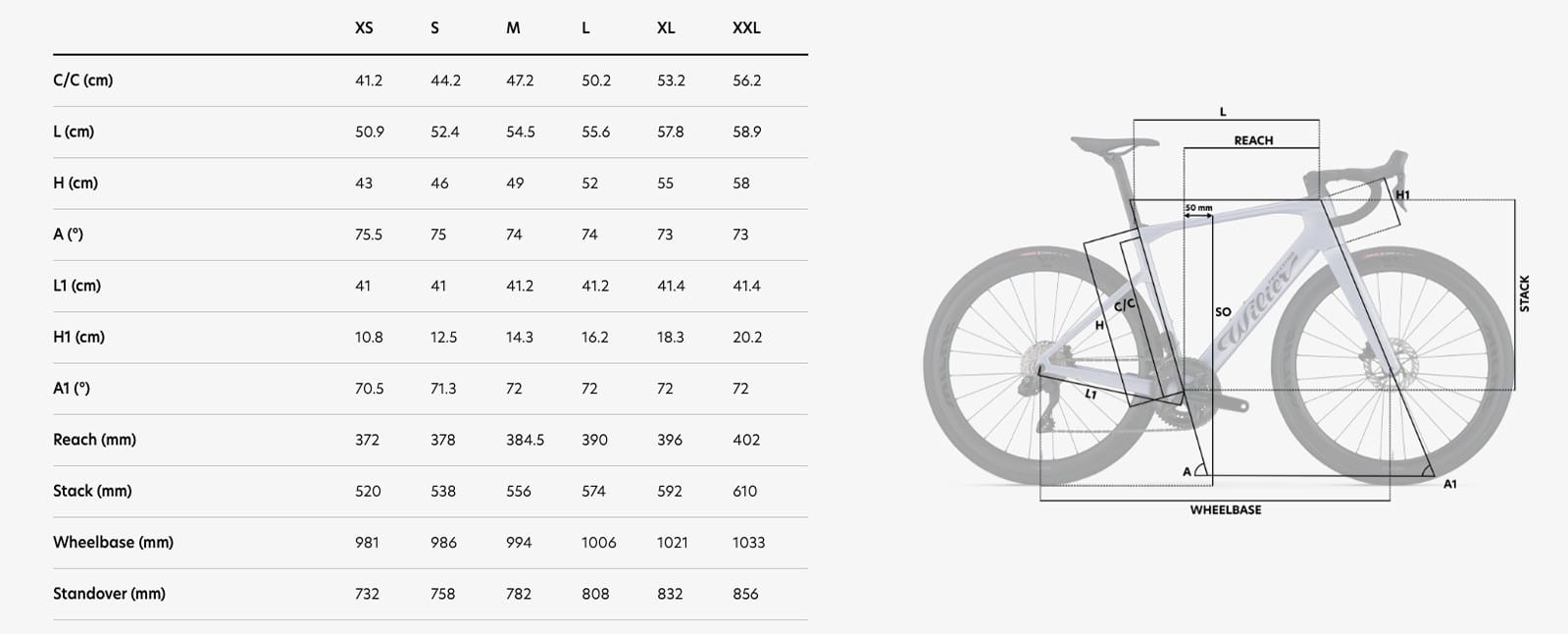Wilier Triestina Rapida geometrie