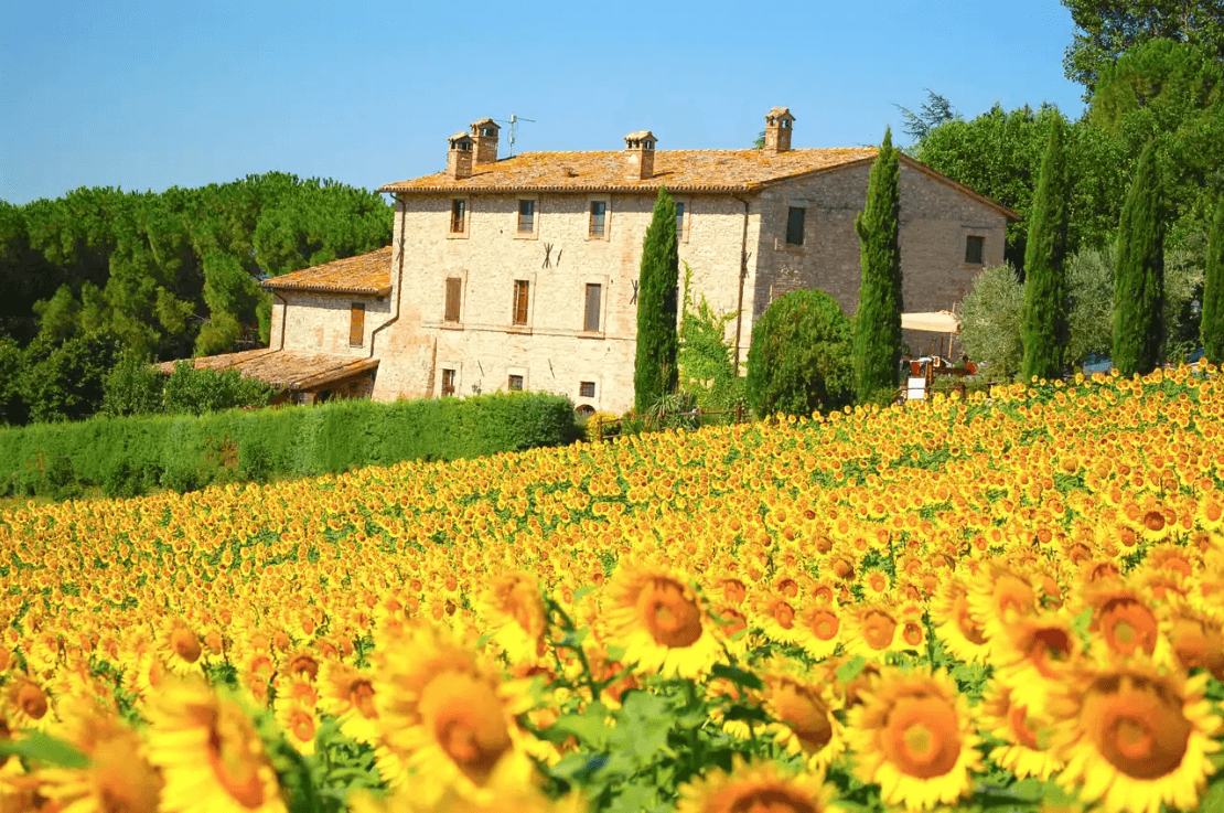 Agriturismo Casale dei Frontini